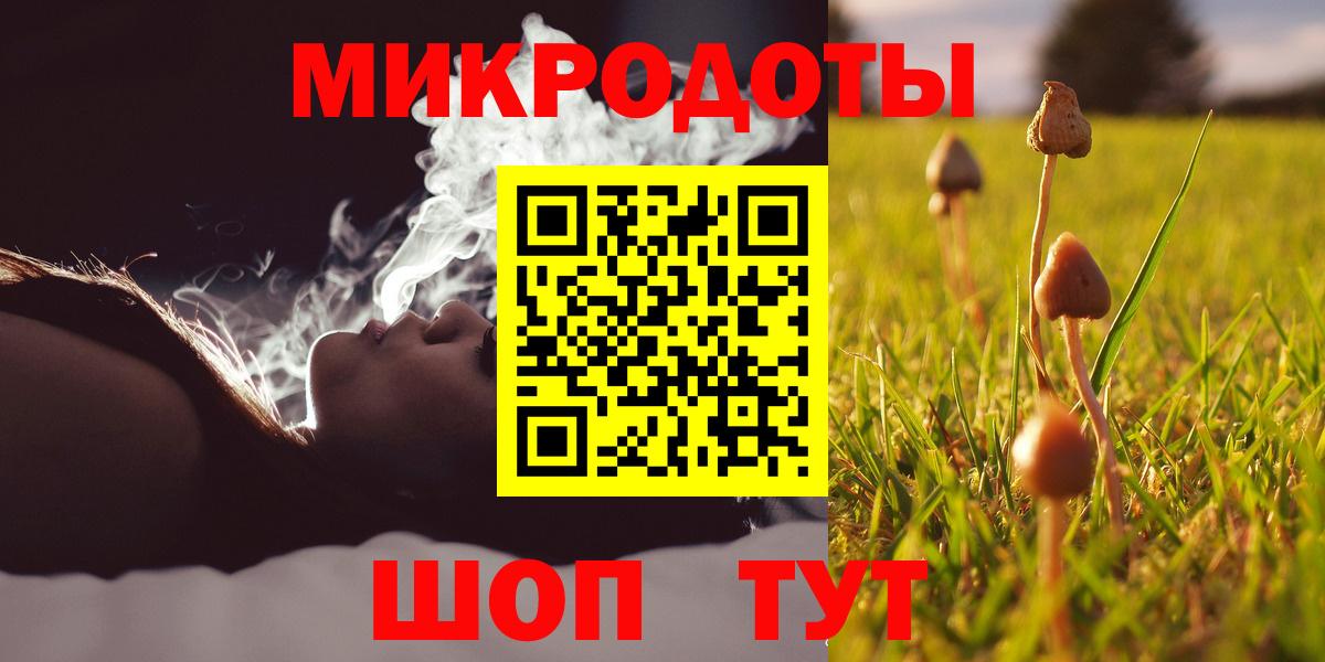 купить наркотики сайты  Галлюциногенные грибы GOLDEN TEACHER  Вход с VPN  Нижнекамск 