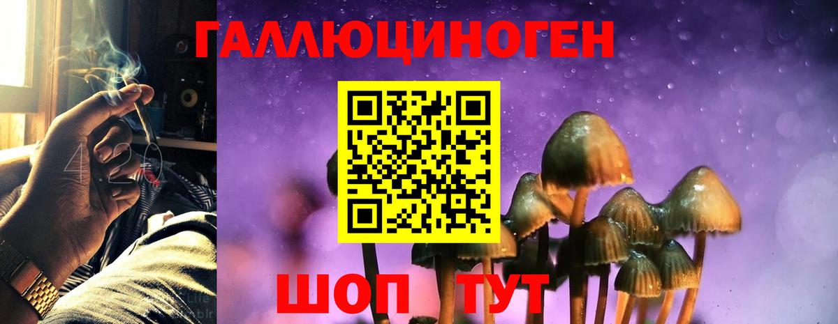 Псилоцибиновые грибы GOLDEN TEACHER Нижнекамск